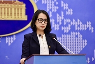 要求中国停止在越南海域开展非法调查活动